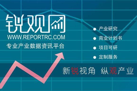 2023-2028年中国房车旅游产业全景调查及投资咨询报告