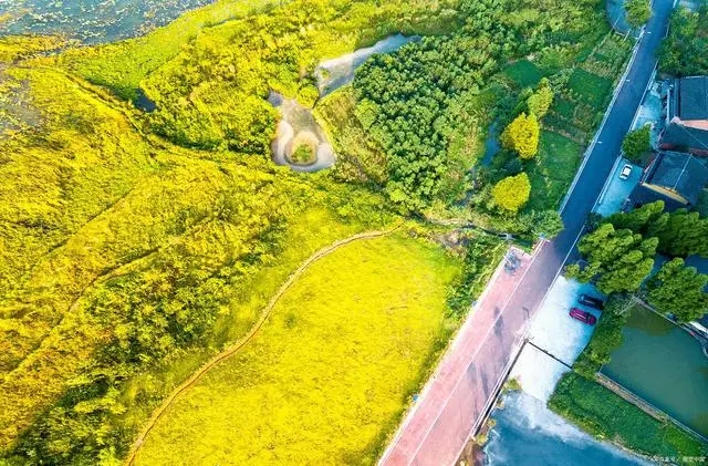 关于房车旅行，请换位思考，景区所在地可能并不太欢迎你