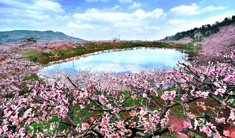 春节四川游客量全国第一，3月10日成都房车展，再掀房车旅游热潮